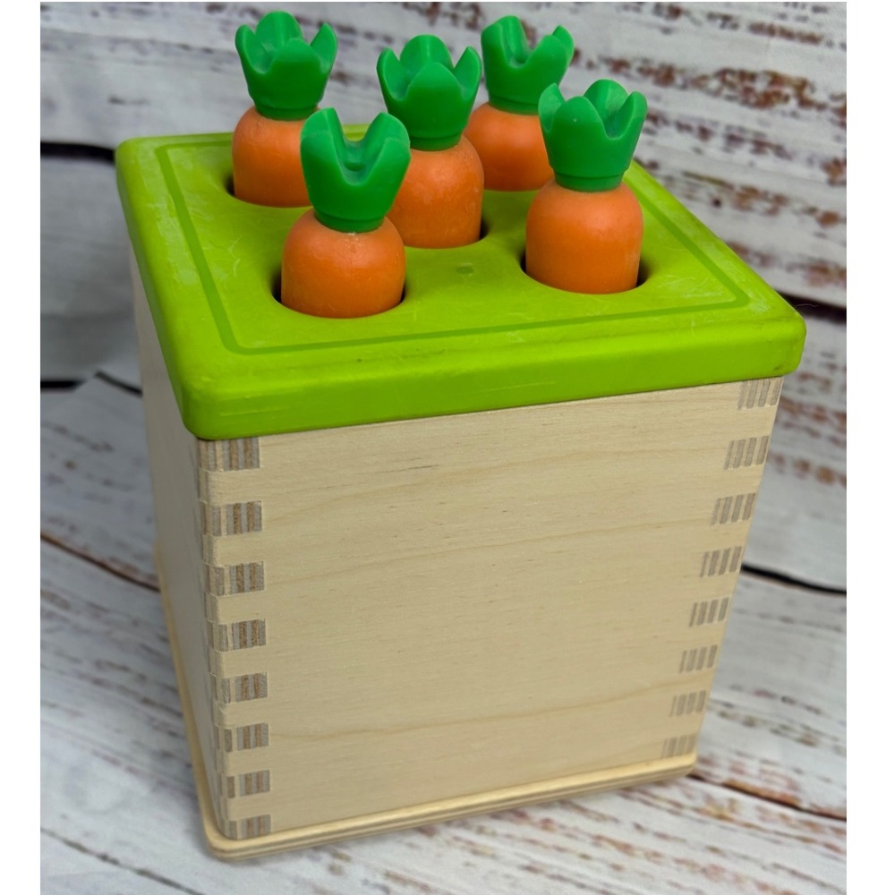 Lovevery Wooden Carrot Harvest Coin Drop Box The Babbler Play Kit Toy Set